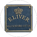 Eliver Srl